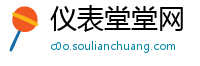 仪表堂堂网